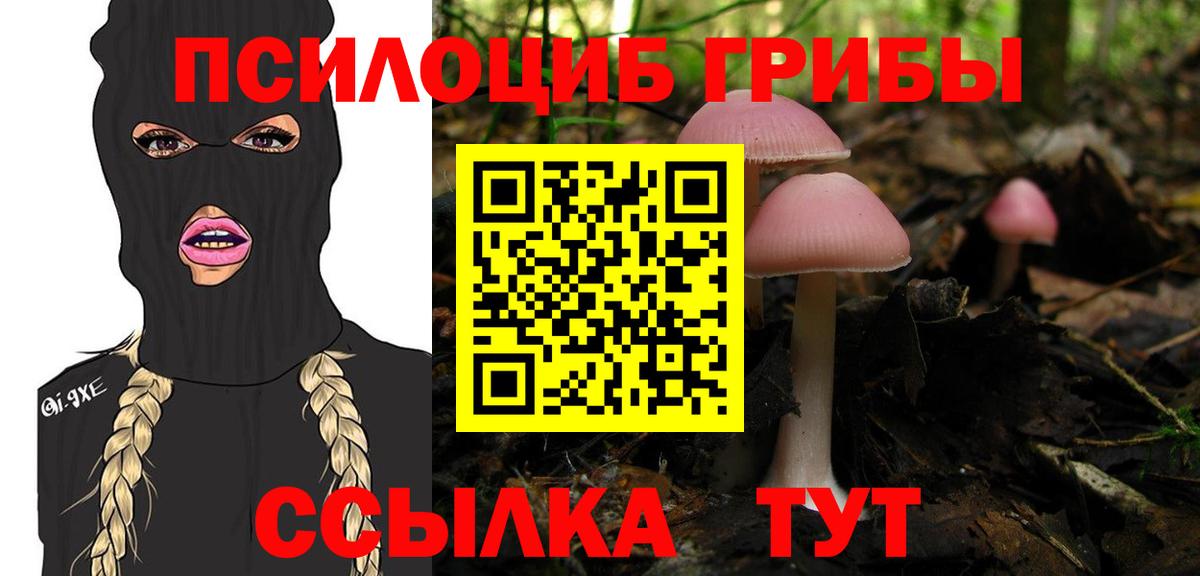 Галлюциногенные грибы GOLDEN TEACHER  Вход с VPN  Псилоцибиновые грибы прущие грибы  Черняховск 
